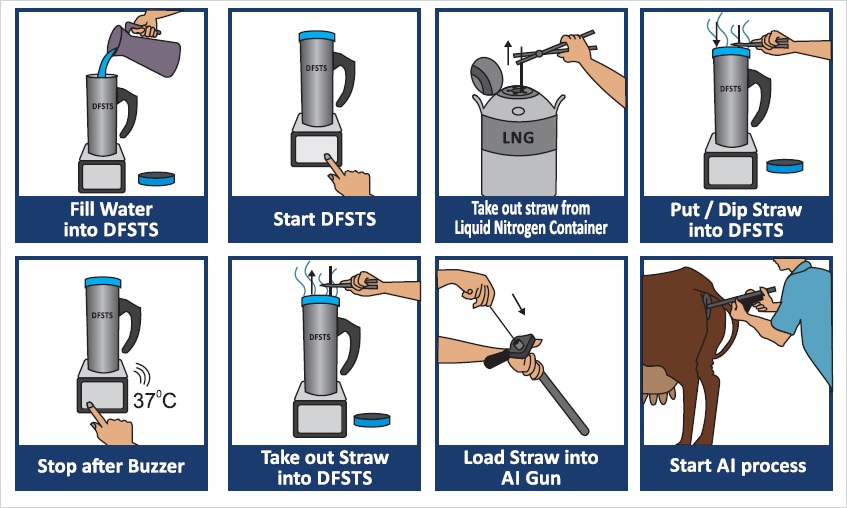 DFSTS Process